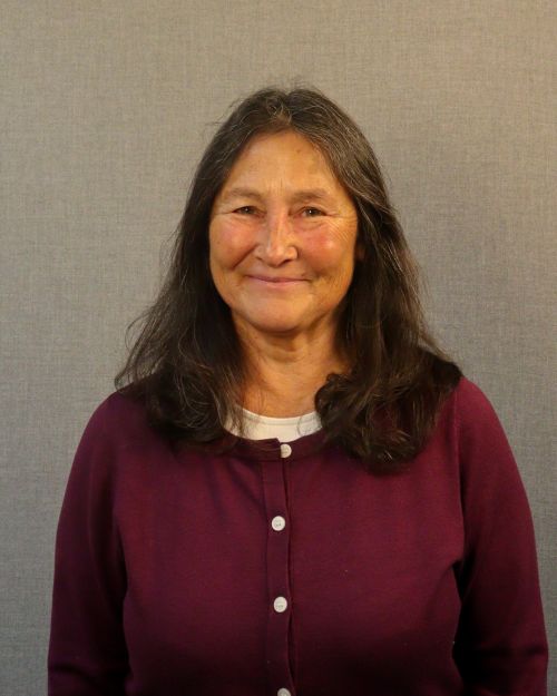 A headshot of Sandy Hollingsworth, a smiling woman with long brown hair.