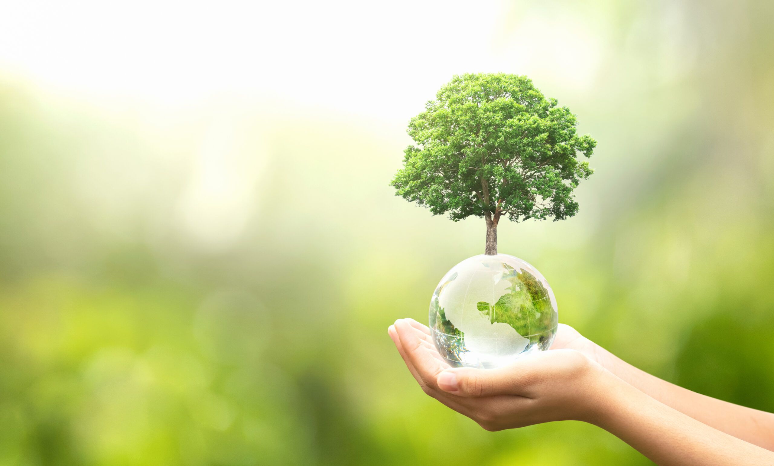 Celebrate Earth Day with Mindfulness: Tips for Honoring the Planet and Your Mental Health