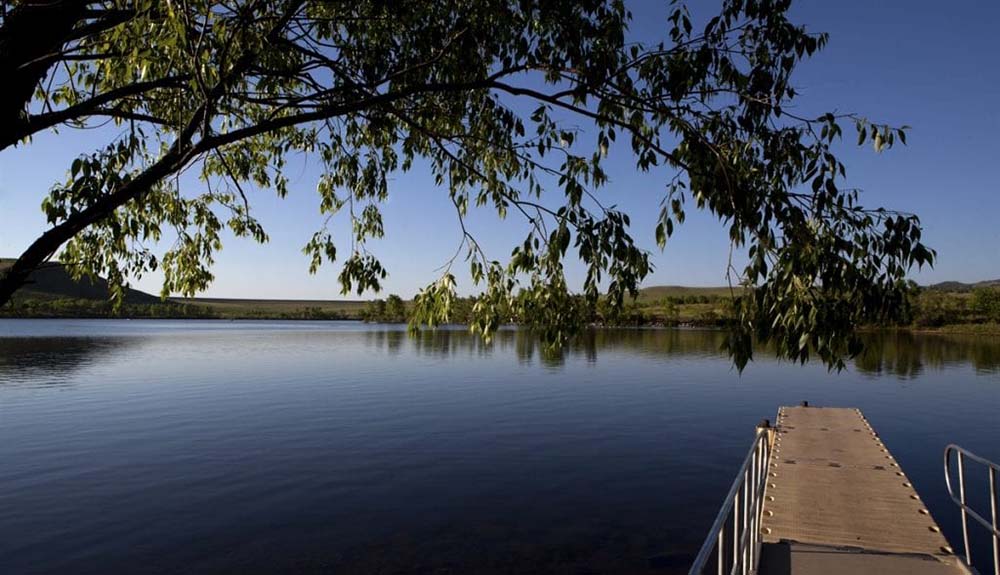 A calm lake under a clear blue sky, with a dark tree branch with green leaves extending from the upper left, A light-colored dock with a metal railing