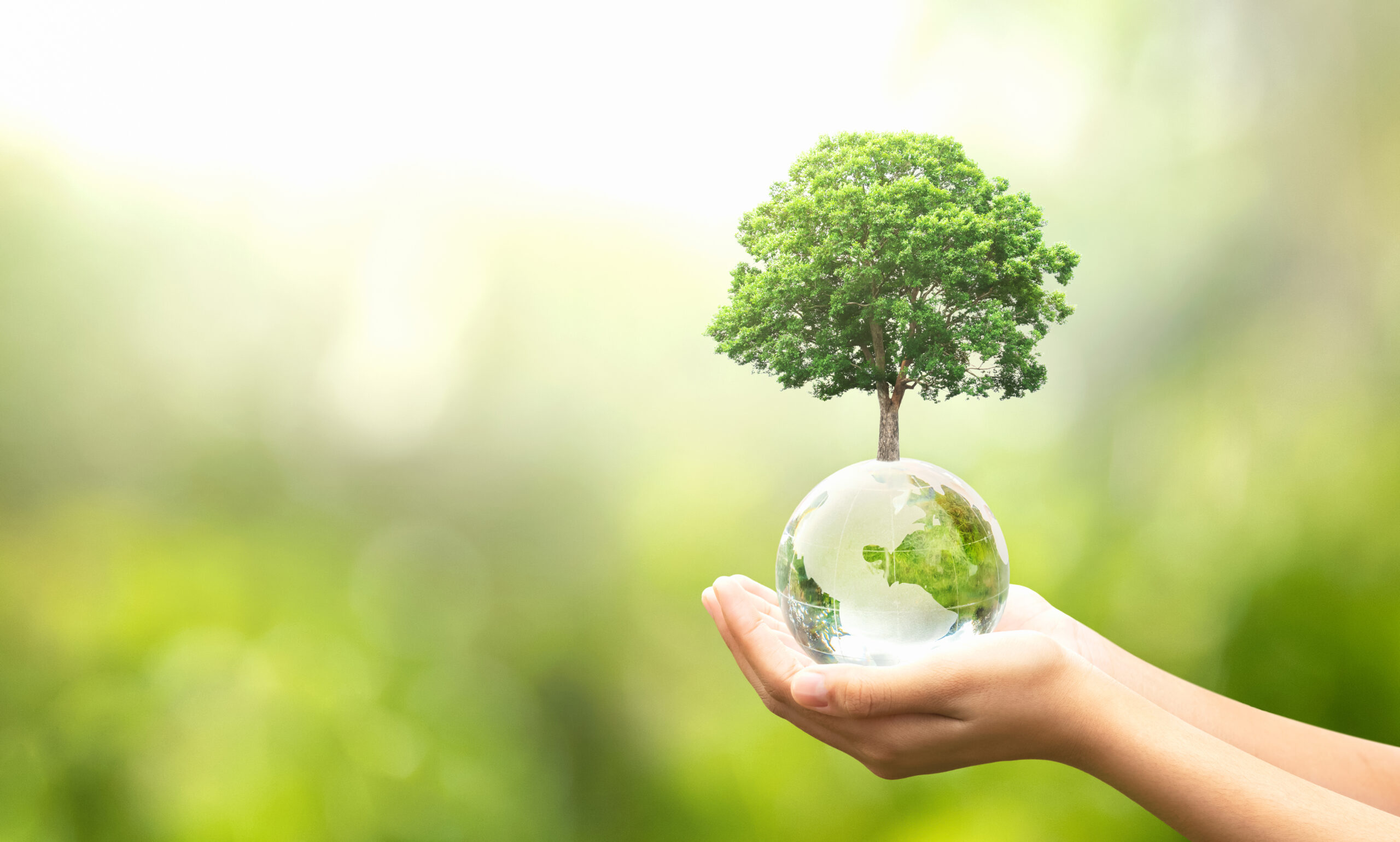 celebrate-earth-day-with-mindfulness-tips-for-honoring-the-planet-and