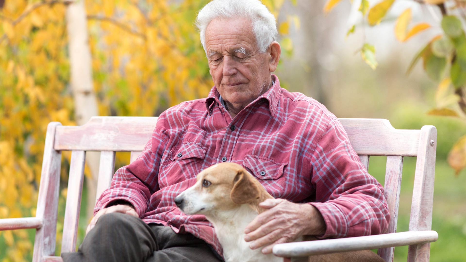 An elderly man with a sad expression sits on a wooden bench outdoors with his eyes closed. He rests a comforting hand on a small dog sitting calmly beside him. The background is filled with yellow autumn leaves.