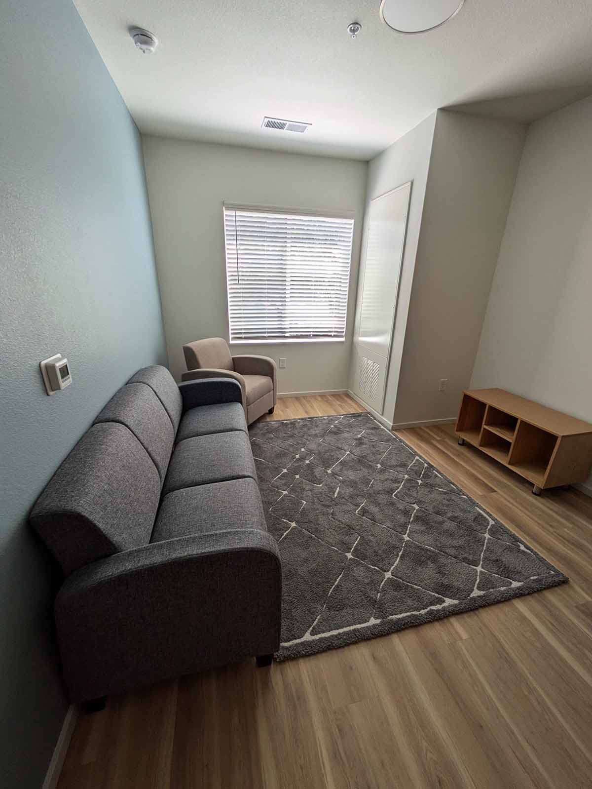 The furnished living room of a Solid Ground apartment. The room contains a long gray sofa, a tan armchair, a low wooden media stand, and a gray area rug with a geometric pattern. One wall is painted a light blue accent color.
