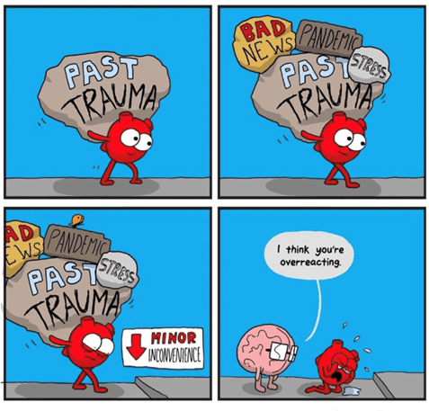 Trauma: How to Move Beyond Survival Mode